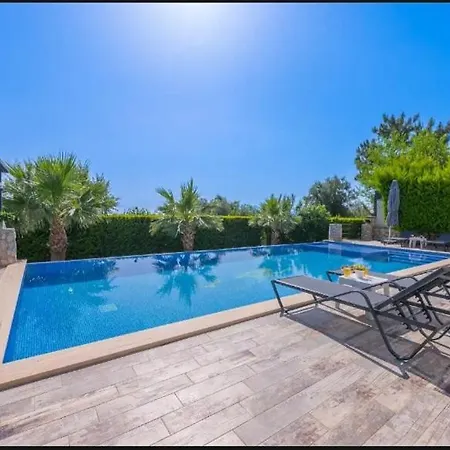 Mutlu Tatil Villasi דירה